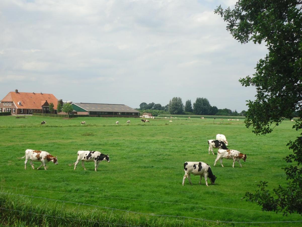 Klein Vreugderijk Bed & Breakfast ซโวลเลอ ภายนอก รูปภาพ